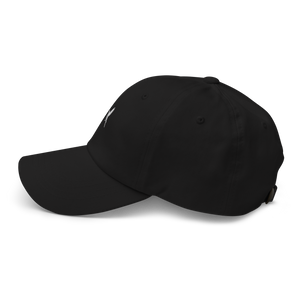 Northern Mocking Bird Dad hat