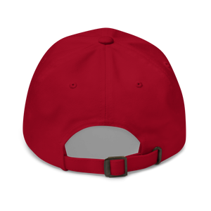 Northern Mocking Bird Dad hat