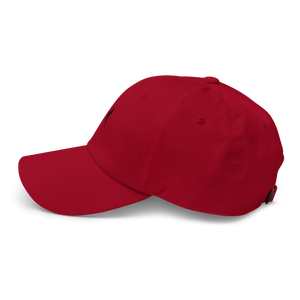 Northern Mocking Bird Dad hat