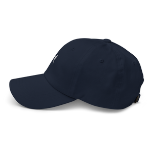Northern Mocking Bird Dad hat